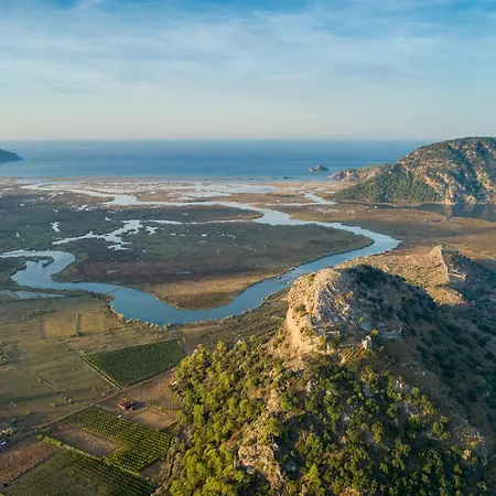 Azalea 2 أورتاجا