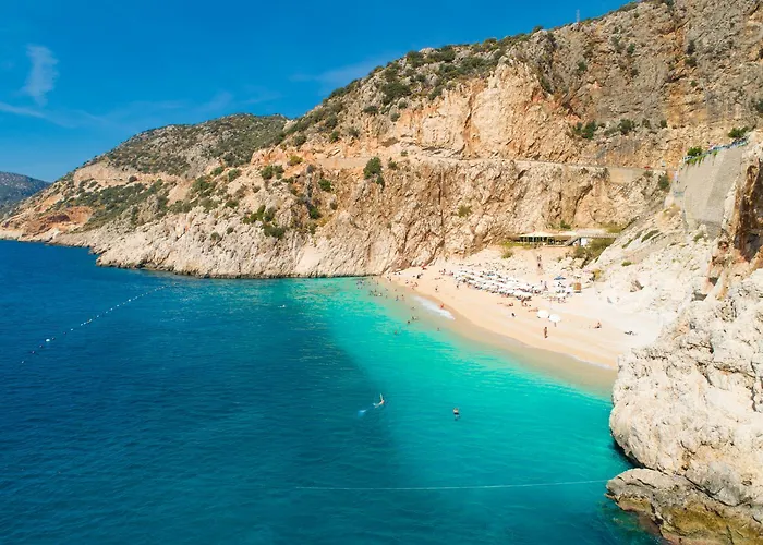 ヴィラ Azalea 2 *